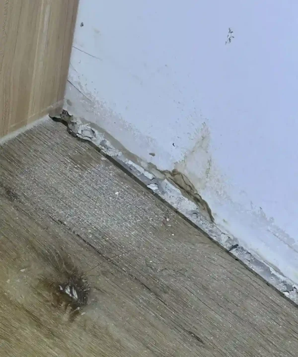 IMG_1406-Combined_page-0003_3_11zon