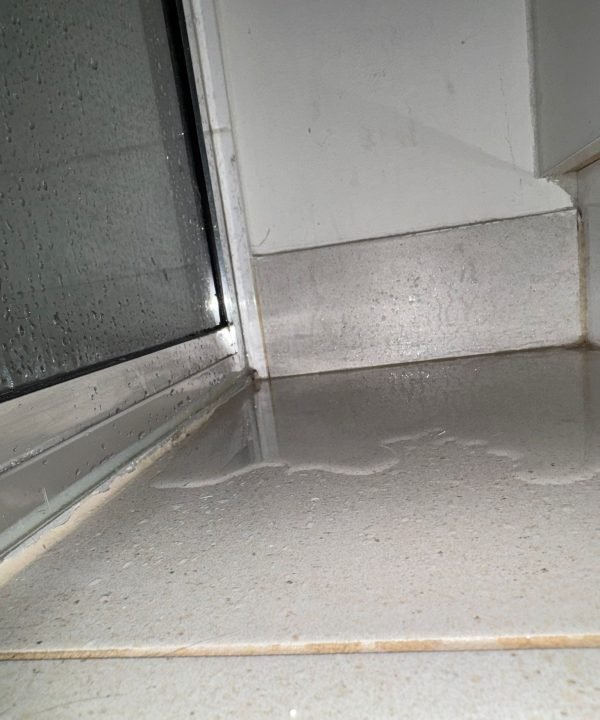 WhatsApp Image 2026-03-29 at 1.28.53 PM (1)